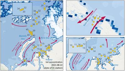 Surface microplastics in the Kara Sea: from the Kara Gate to the 83°N